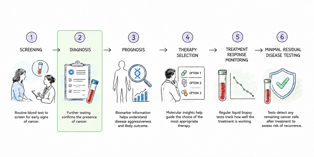 A row of six numbered steps in cancer care: screening, diagnosis, prognosis, therapy selection, treatment response monitoring, and minimal residual disease testing. The second step, diagnosis, is highlighted in green and shows a medical checklist beside a tube of blood.